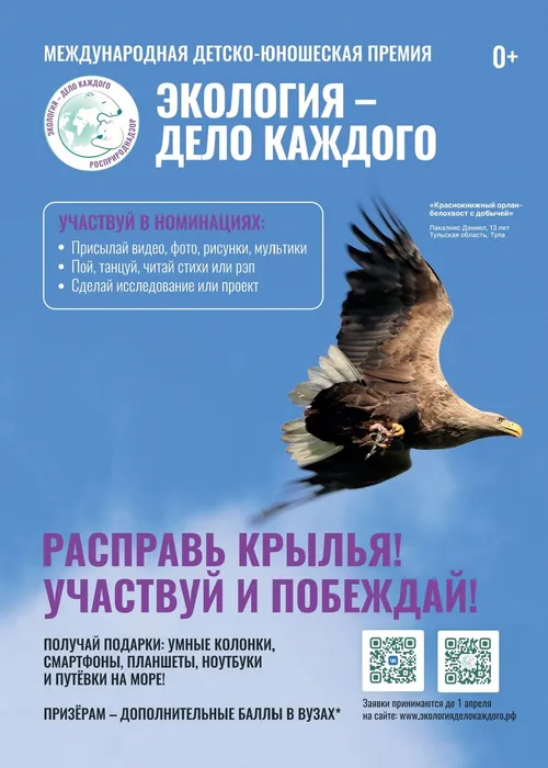 листовка А5_орел с QR_250320_204733